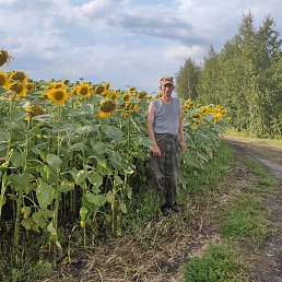 ����, ������, 50 ���