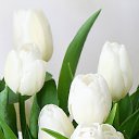 ���� �����, ���������, 56 ��� - ��������� 6 ����� 2025 � ������ ���� ����������