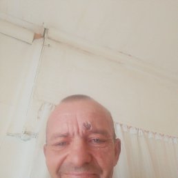 , 54 , 