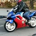 ���� ����, ������, 49 ��� - ��������� 24 ������� 2024 � ������ ���� ����������