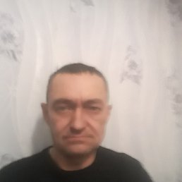 , 54 , 