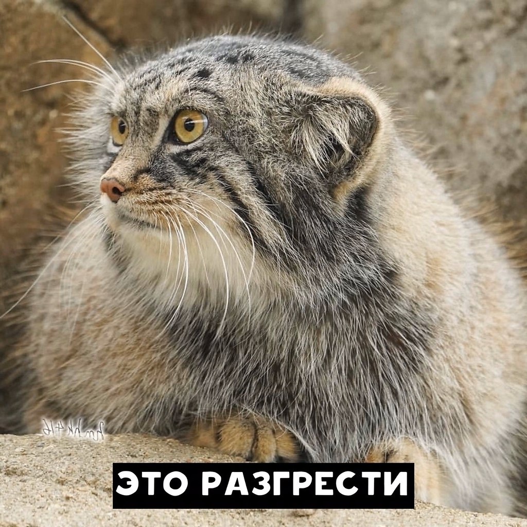 �� ���������� ������... - 3
