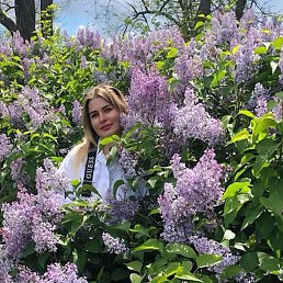 Svetik, �������, 37 ���