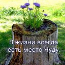 ���� �������, ������������ - ��������� 23 ����� 2026 � ������ ������ ��������