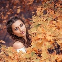 ���� ����, ������, 43 ���� - ��������� 10 ������ 2026