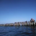 ���� ������, �����������, 50 ��� - ��������� 6 ������� 2023 � ������ ���� ����������