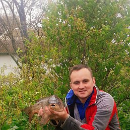 ���� �����, ����������, 37 ��� - ��������� 8 ������ 2023