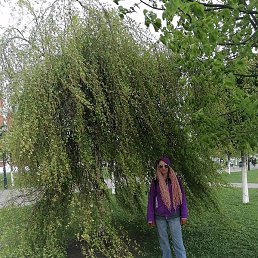 ���� �, �����, 35 ���