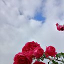 ���� ������, ���������, 69 ��� - ��������� 7 ������� 2025 � ������ ������ 2025�