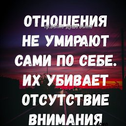 ���� ����, ����������, 53 ���� - ��������� 5 ������� 2023