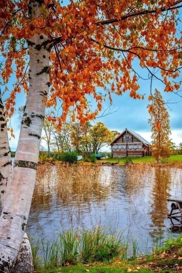 https://fotostrana.ru/away?to=/sl/kjI6*************************************************** ...