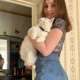 , 29, 