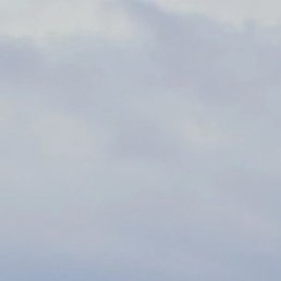 �����, ���������