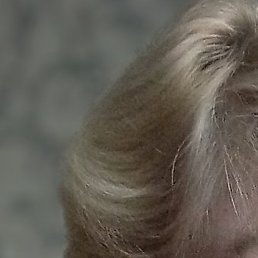 �������., �����������, 62 ����