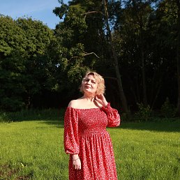 ���� ����, ���, 44 ���� - ��������� 23 ������� 2024