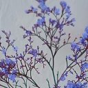 ���� ������., ����� - ��������� 9 ������ 2025 � ������ ������ ��������