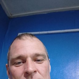 ������, 38 ���, ����