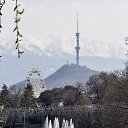 ���� ������, ������ - ��������� 8 ���� 2026 � ������ ������ ��������