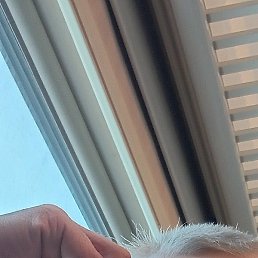 ����, ����, 40 ���