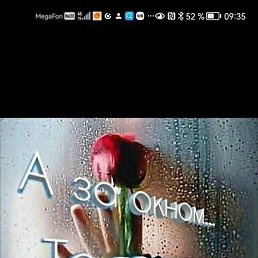 �������, ������, 49 ���