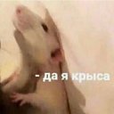 ���� ����, ������, 29 ��� - ��������� 26 ������ 2025 � ������ ���� ����������