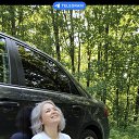 ���� ����, ������ - ��������� 6 ������ 2025 � ������ ���� ����������