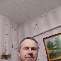 ���� ��������, �����, 71 ��� - ��������� 7 ������ 2026