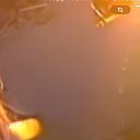 ���� �������, �����������, 40 ��� - ��������� 8 ���� 2024 � ������ ���� ����������