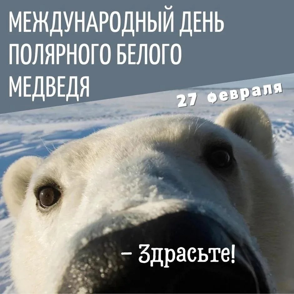 �������: ������, ������, �����, �������, ��������, �����, ������� - 6