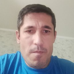 �����, ������������, 41 ���