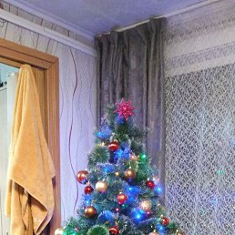 ���� �������, �������, 63 ���� - ��������� 27 ������� 2023