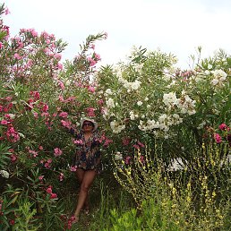 �������, ���������