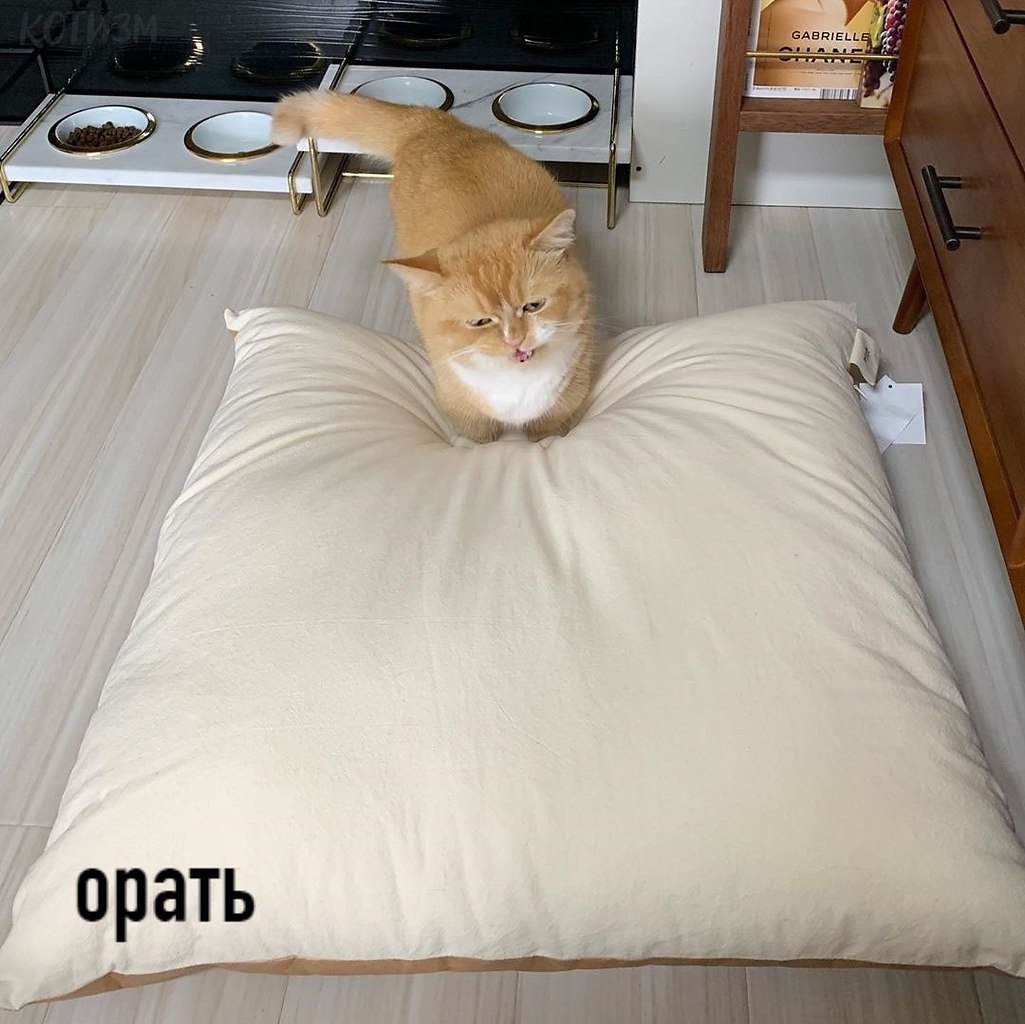 � ��������� ����� � ���� ������ ������ ��� 5 �����: - 3
