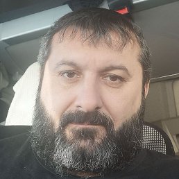 ����, ������, 46 ���