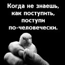 ���� ������, ����� - ��������� 11 ������� 2024 � ������ ���� �����