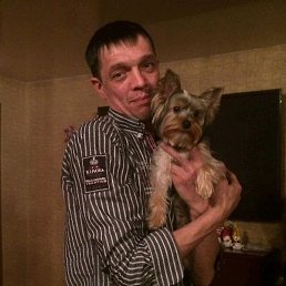 ���������-)), ���������