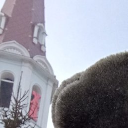 ������, �����������, 49 ���