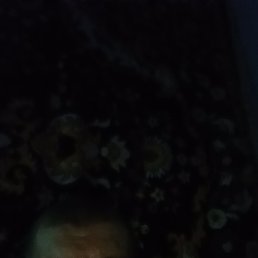 ���� Vladimir, ����� - ��������� 4 �������� 2026