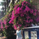  , -, 66  -  13  2025   