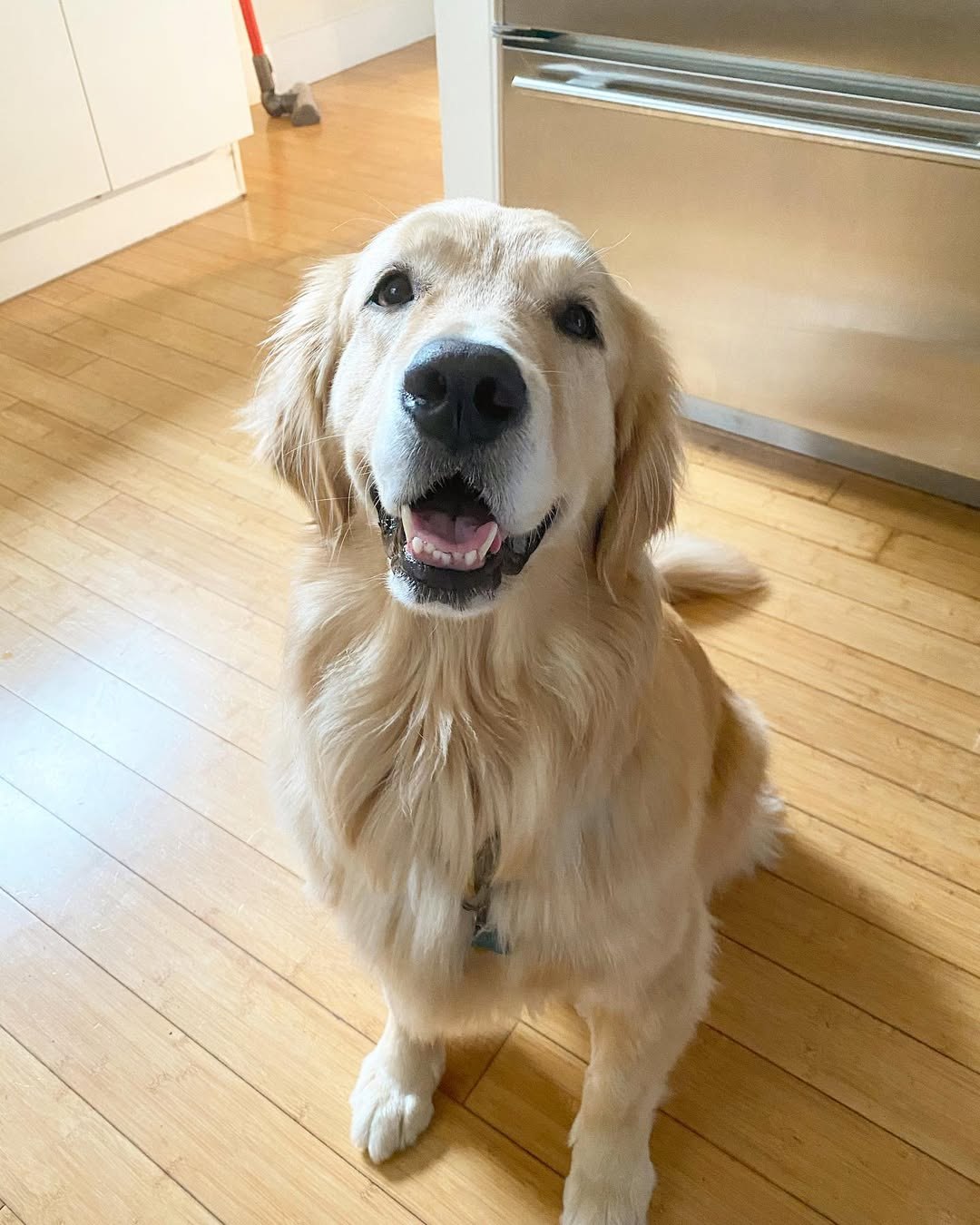 ! !    ,         ... - 8