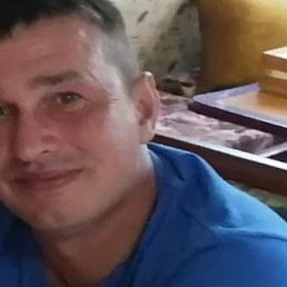 �������, ��������, 46 ���