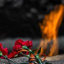 ���� ��������, ������, 36 ��� - ��������� 9 ��� 2025 � ������ ���� ����������