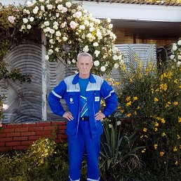 ���� ���������, ����, 69 ��� - ��������� 5 ������ 2026