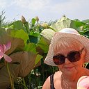 ���� �������, ��������, 71 ��� - ��������� 5 ������� 2025 � ������ ���� ����������