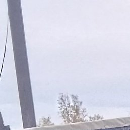 ����, �����������, 50 ���