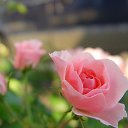 ���� ����, �������, 64 ���� - ��������� 5 ������� 2025 � ������ ���� ����������