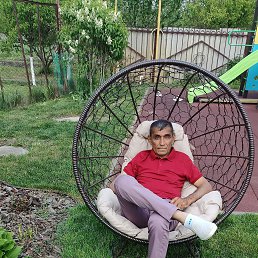, 54 , 