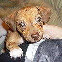 ���� ����, �������, 57 ��� - ��������� 22 ������ 2025 � ������ ������ ��������