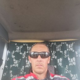 ���������, 43 ����, ��������