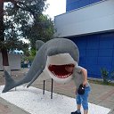 ���� ����, ������, 46 ��� - ��������� 21 ������� 2025 � ������ ���� ����������